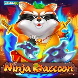 Ninja Raccoon