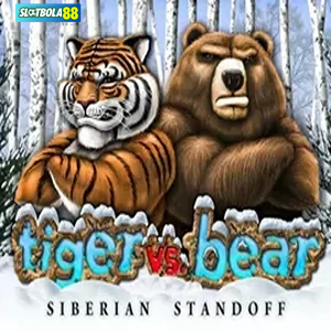 Tiger vs Bear