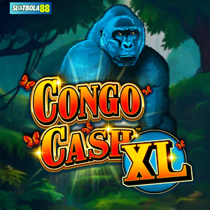 congo cash xl